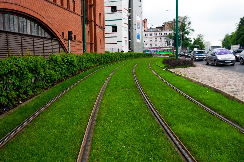 Fot. ZDM Poznań - grafika artykułu