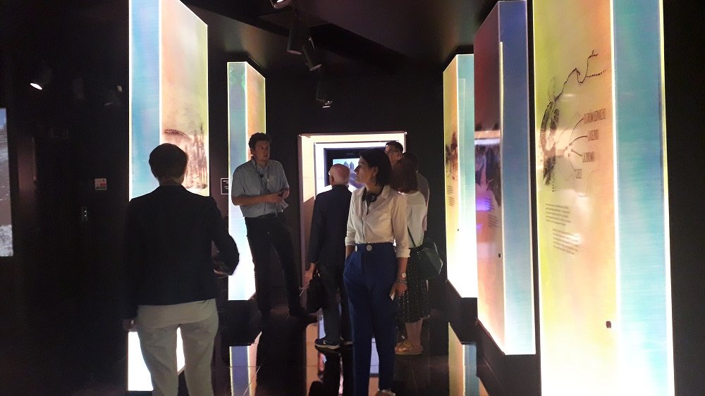 Fot. Mateusz Malinowski