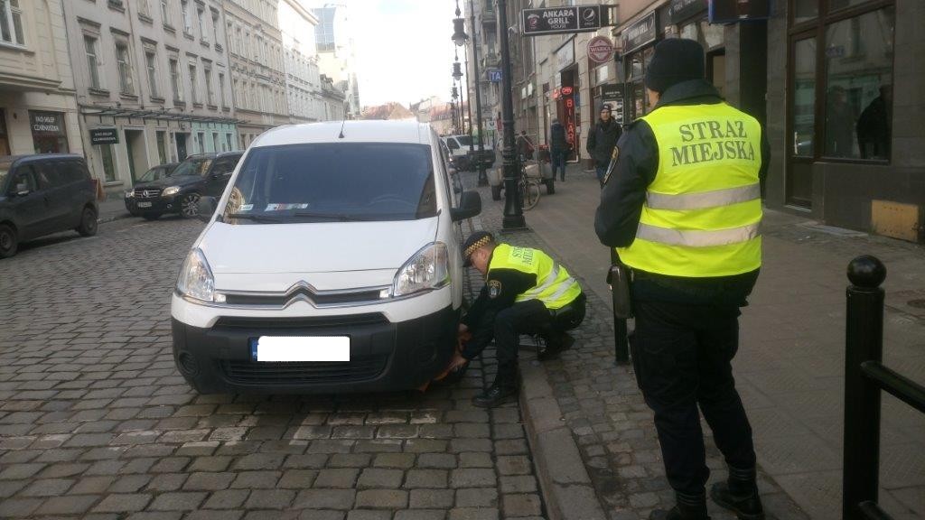 fot. Straż Miejska Miasta Poznania - grafika artykułu