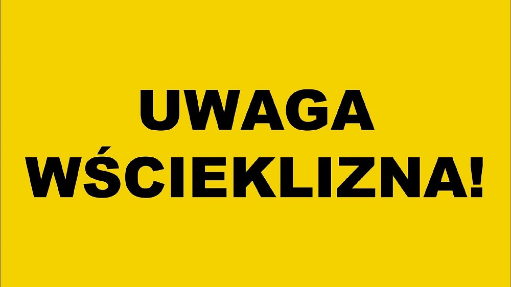 . - grafika artykułu