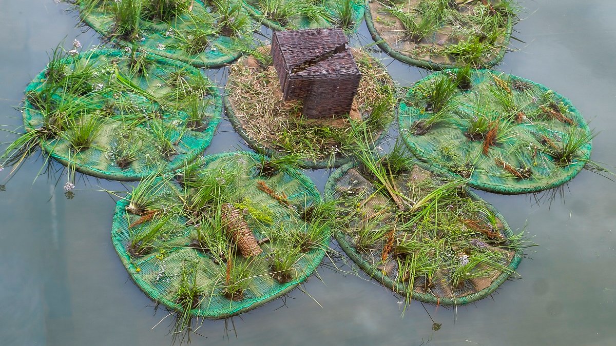Na rzece Cybinie, w sąsiedztwie Bramy Poznania, pojawiły się pływające ogrody/ fot. Maciej Krajewski