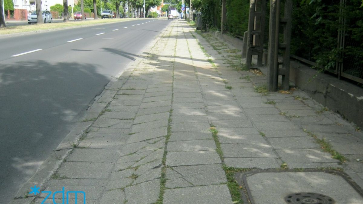 fot. ZDM - grafika artykułu