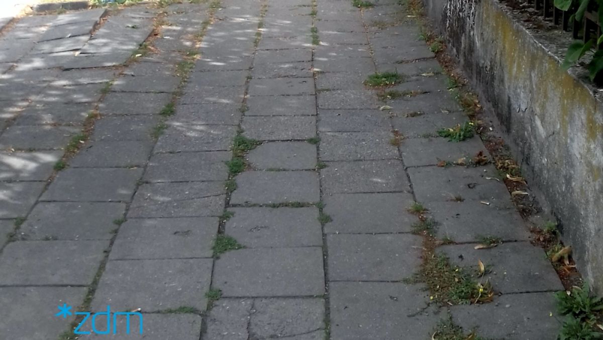 fot. ZDM - grafika artykułu