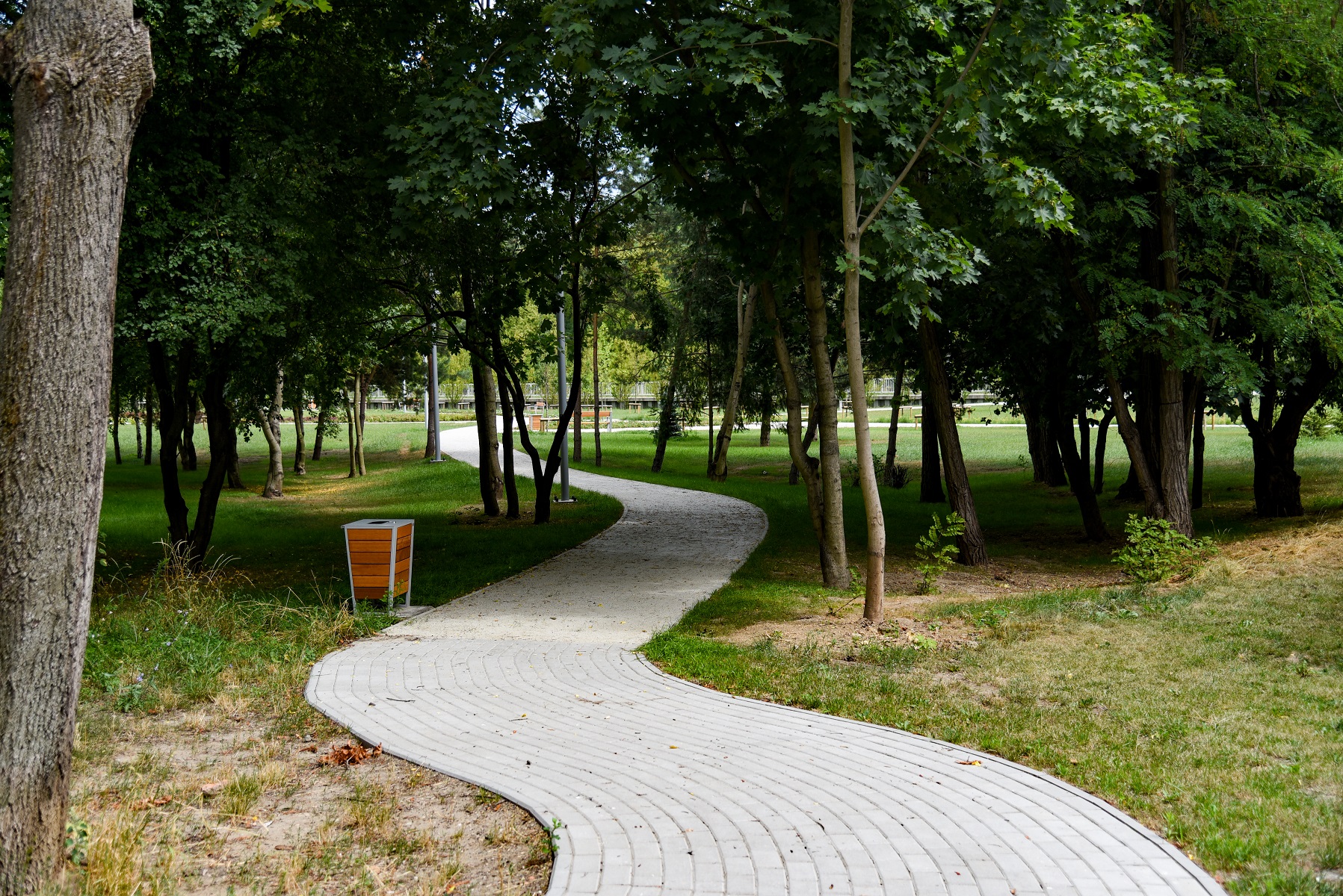 fot. Poznan.pl - grafika artykułu