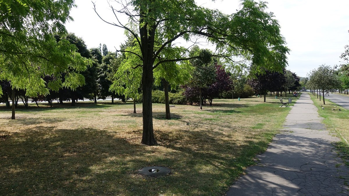 Skwer przy ul. Janickiego, fot. ZDM