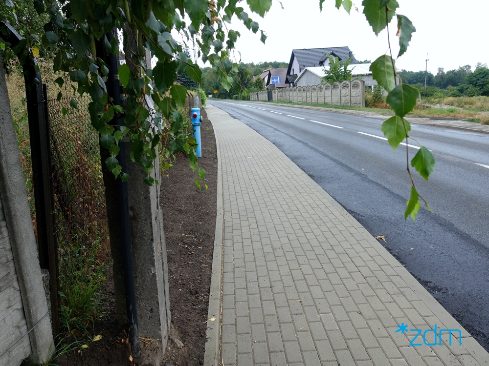 fot. ZDM - grafika artykułu