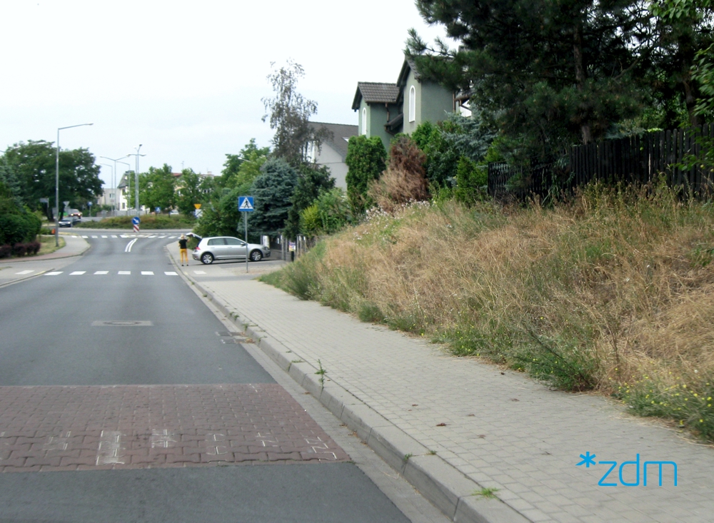 fot. ZDM - grafika artykułu