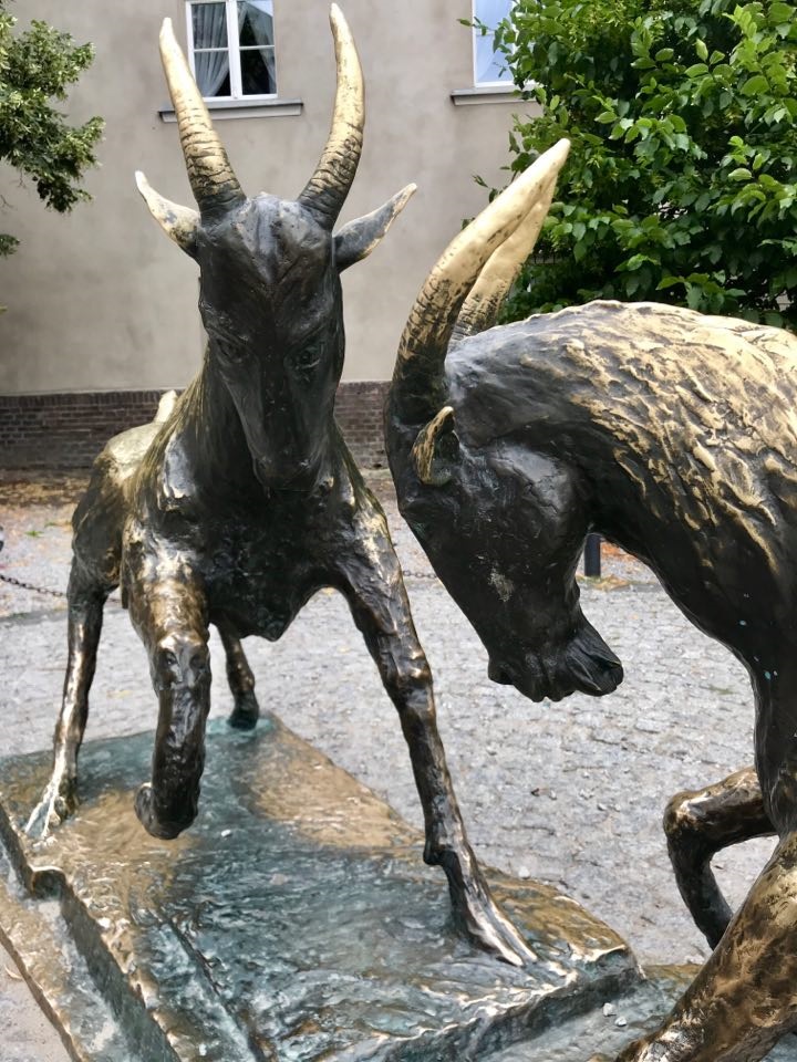 fot. Poznan.pl - grafika artykułu