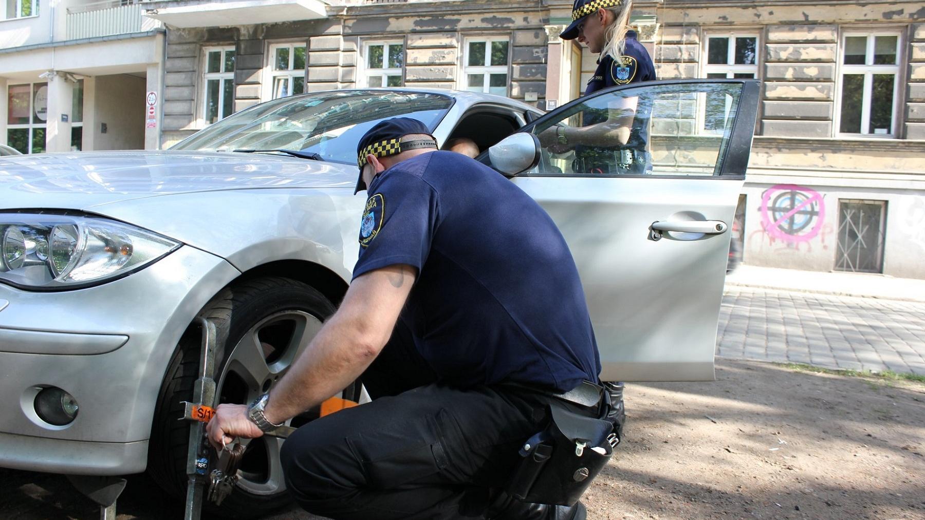 fot. Straż Miejska Miasta Poznania - grafika artykułu