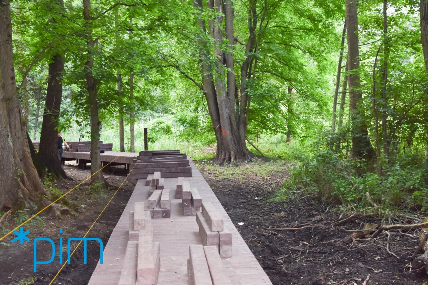 fot. PIM - grafika artykułu