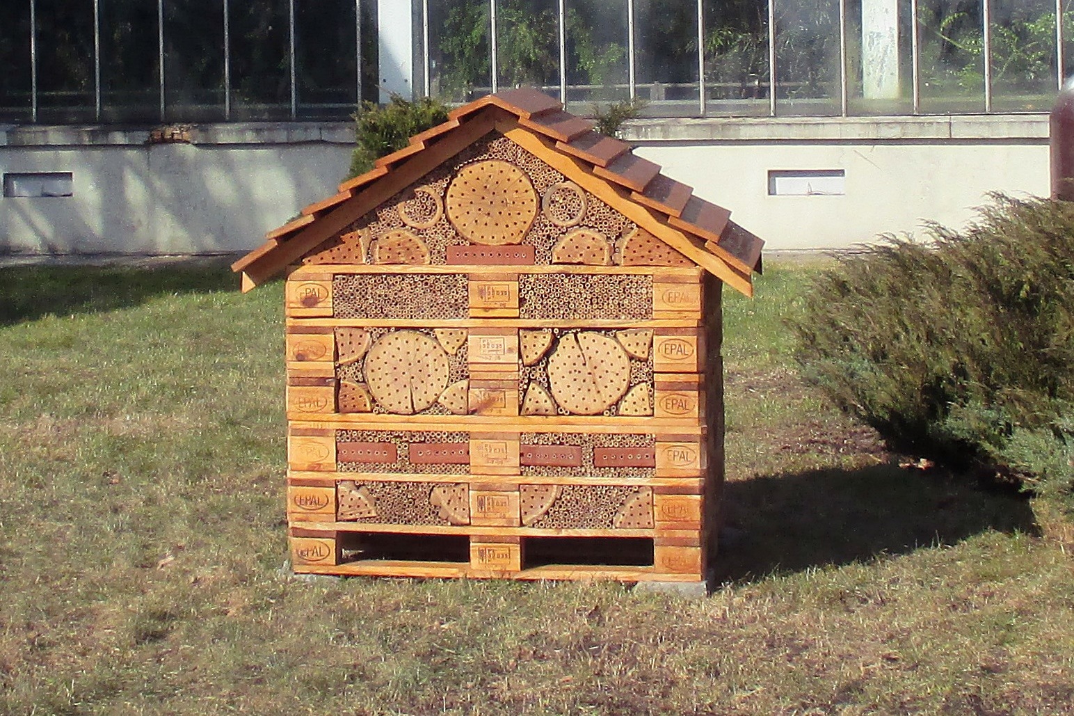 fot. Palmiarnia Poznańska - grafika artykułu