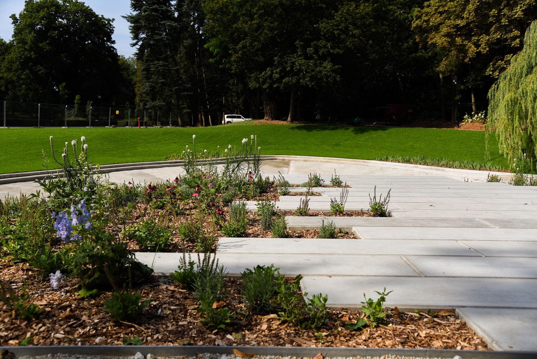 fot. Poznan.pl - grafika artykułu