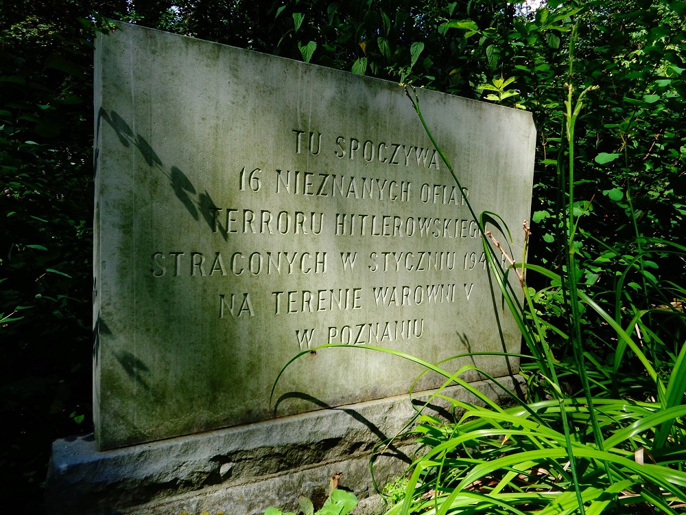 Fot. materiały organizatorów - grafika artykułu