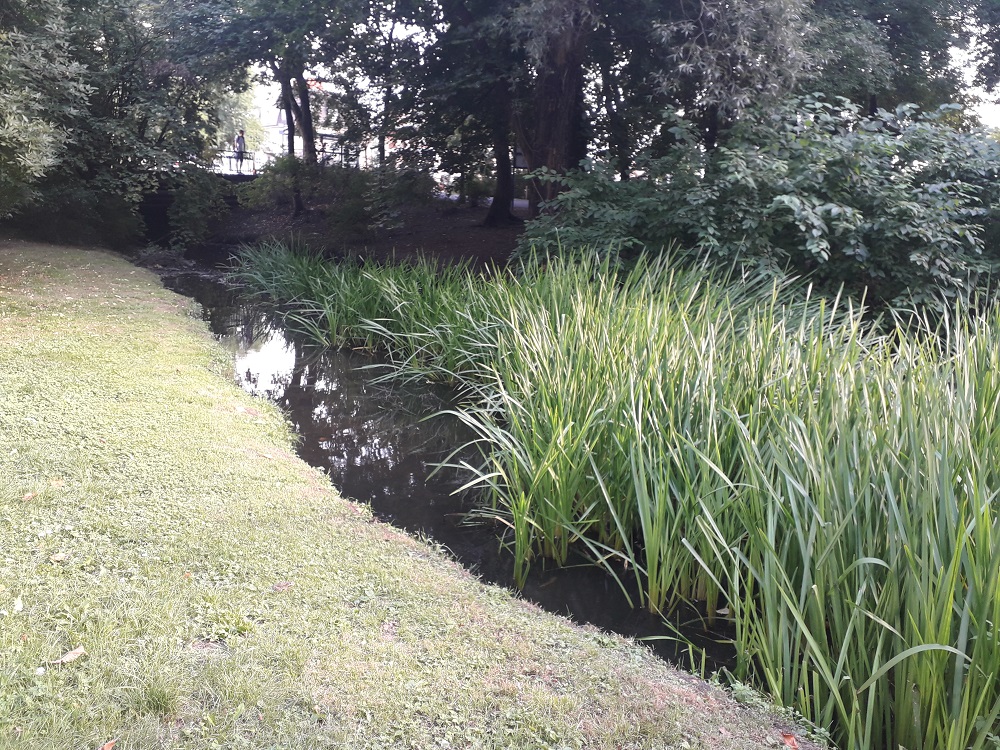 Fot. Mateusz Malinowski - grafika artykułu