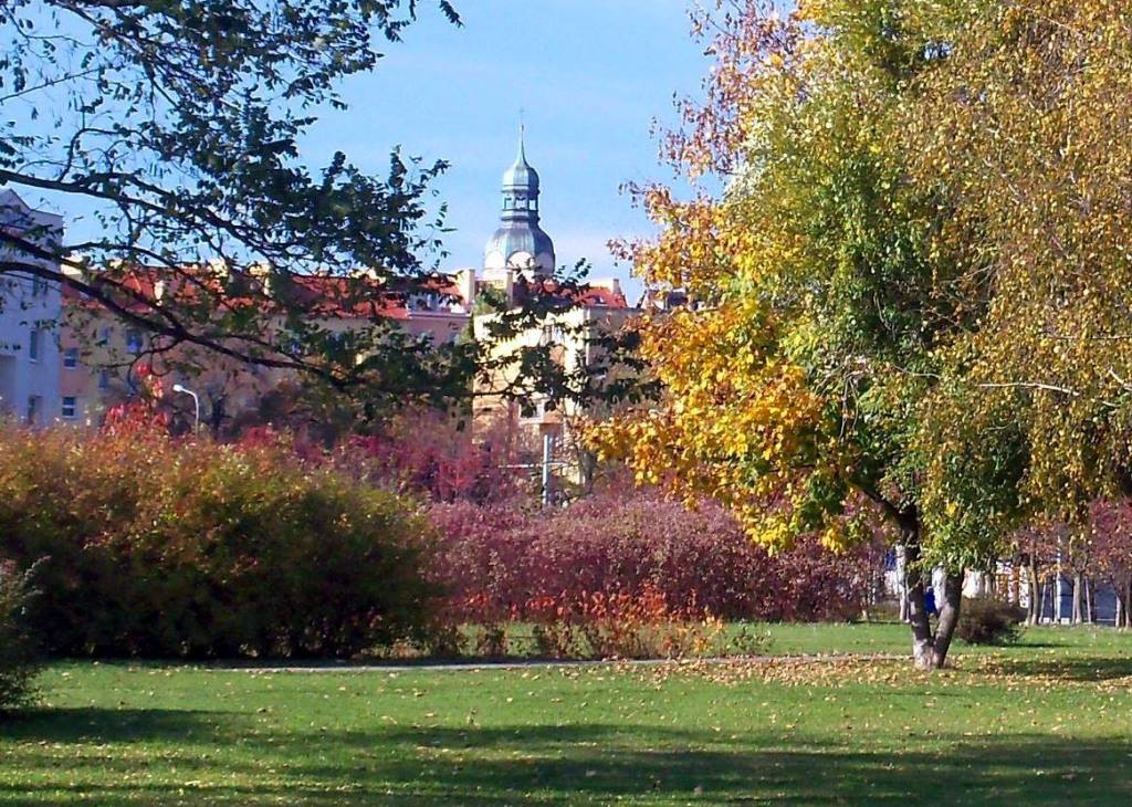 Fot. Rada Osiedla Wilda - grafika artykułu