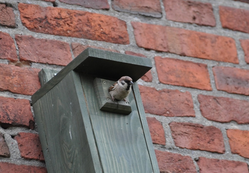 Fot. Urząd Miasta Poznania - grafika artykułu
