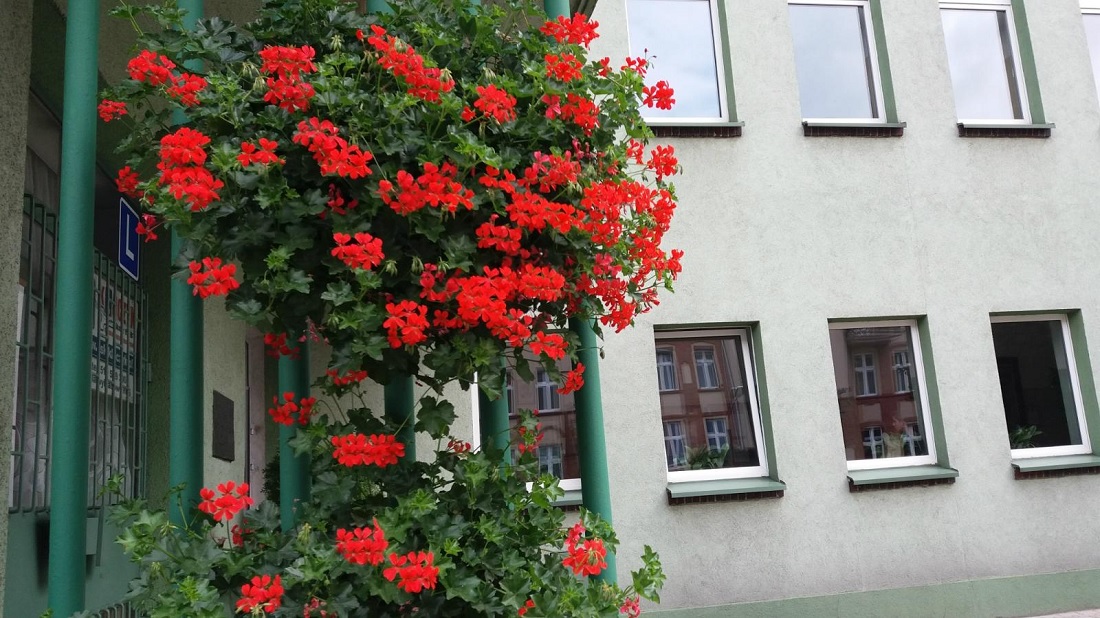 Fot. Urząd Miasta Poznania - grafika artykułu