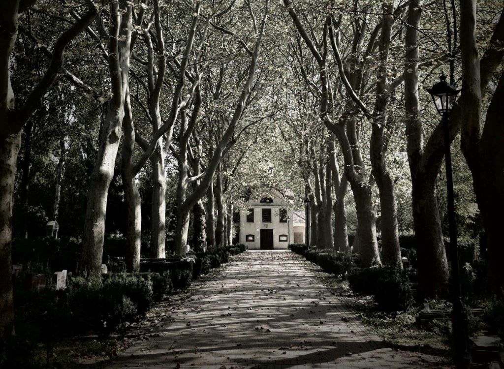 Fot. z archiwum Grupy Przewodników "Po Poznaniu" - grafika artykułu