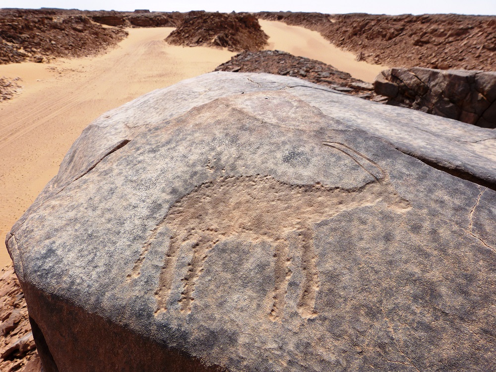 Fot. Paweł Polkowski - grafika artykułu