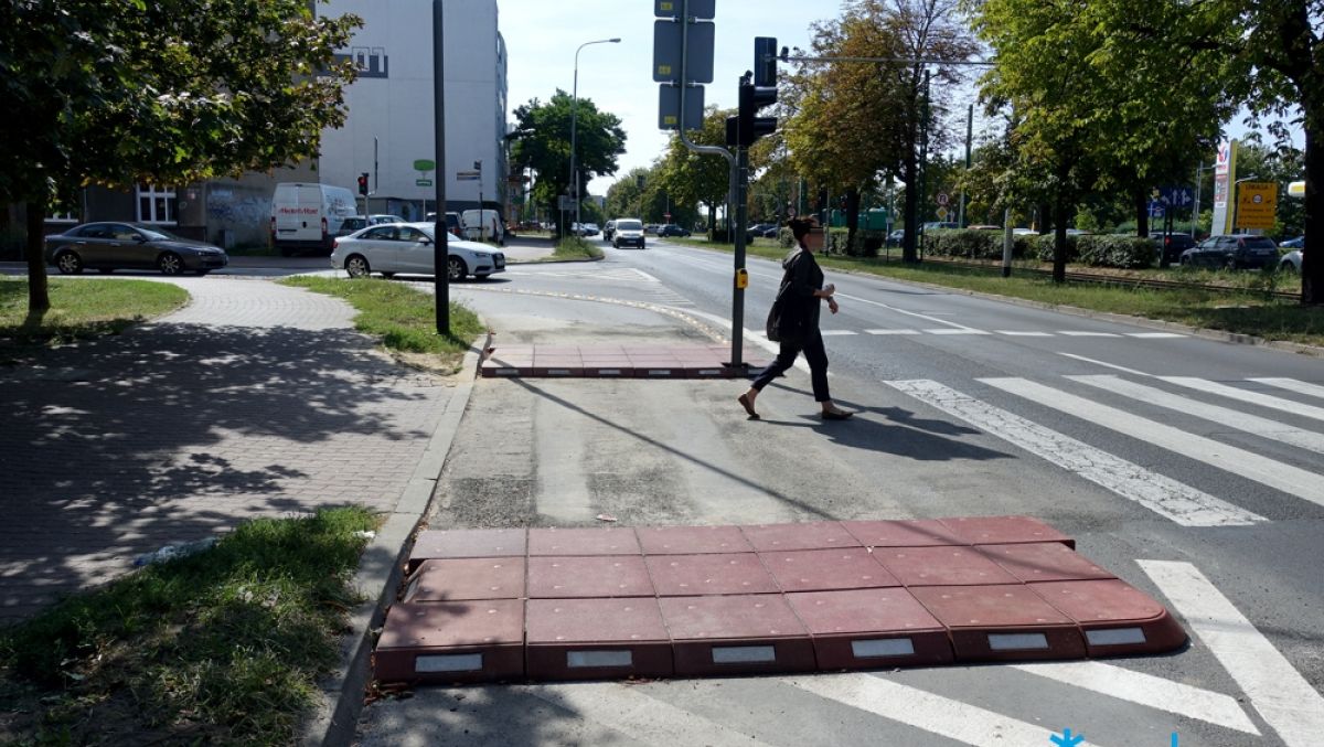 fot. ZDM - grafika artykułu