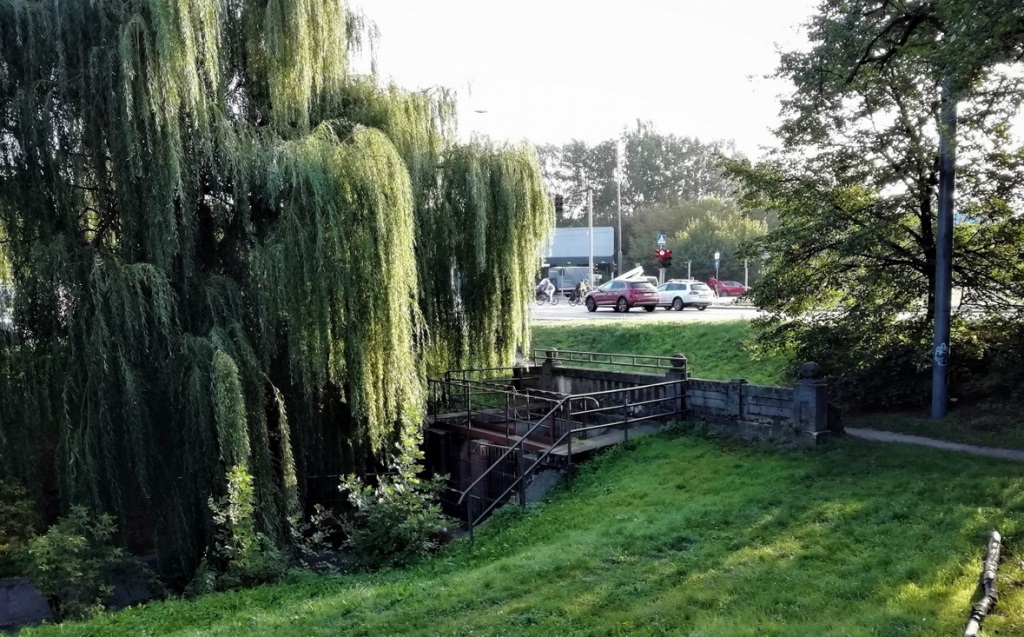 Fot. PIM - grafika artykułu