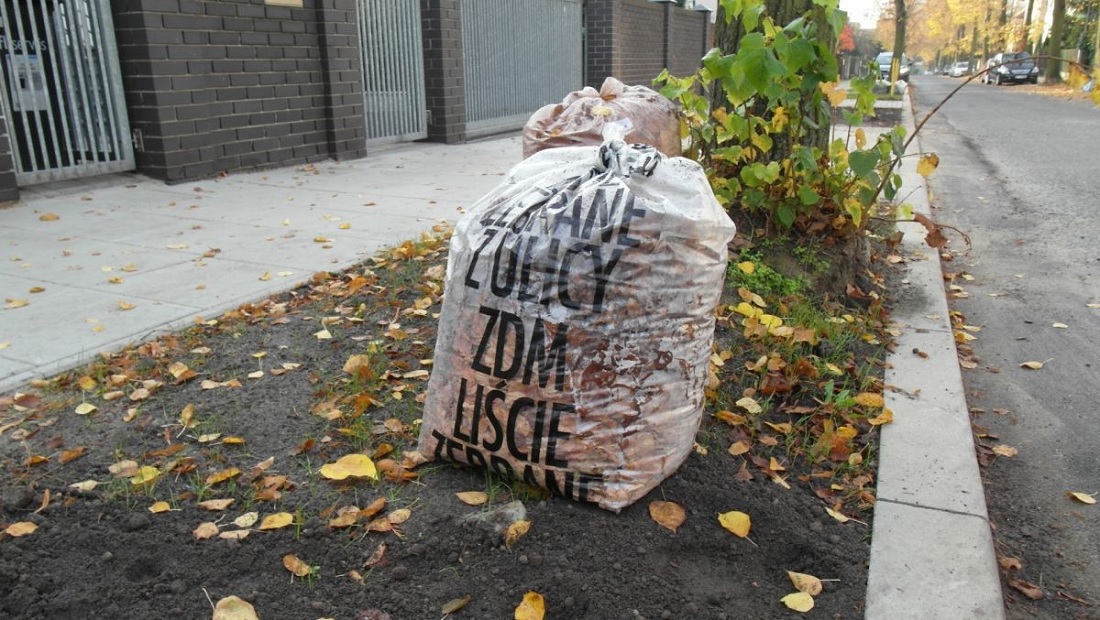 Fot. ZDM Poznań - grafika artykułu