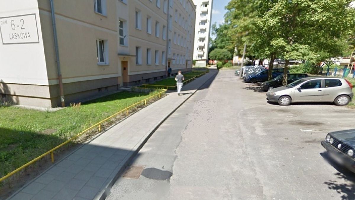 fot. ZDM - grafika artykułu