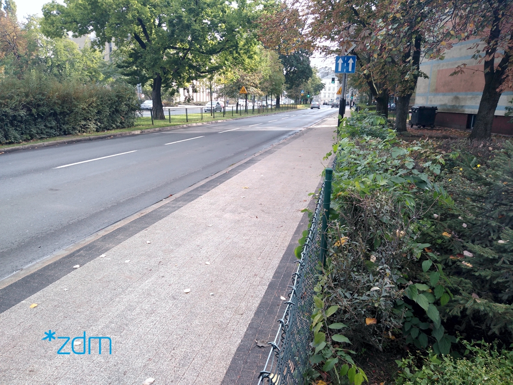 fot. ZDM - grafika artykułu