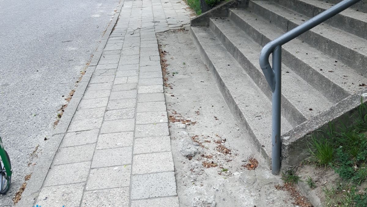 fot. ZDM - grafika artykułu