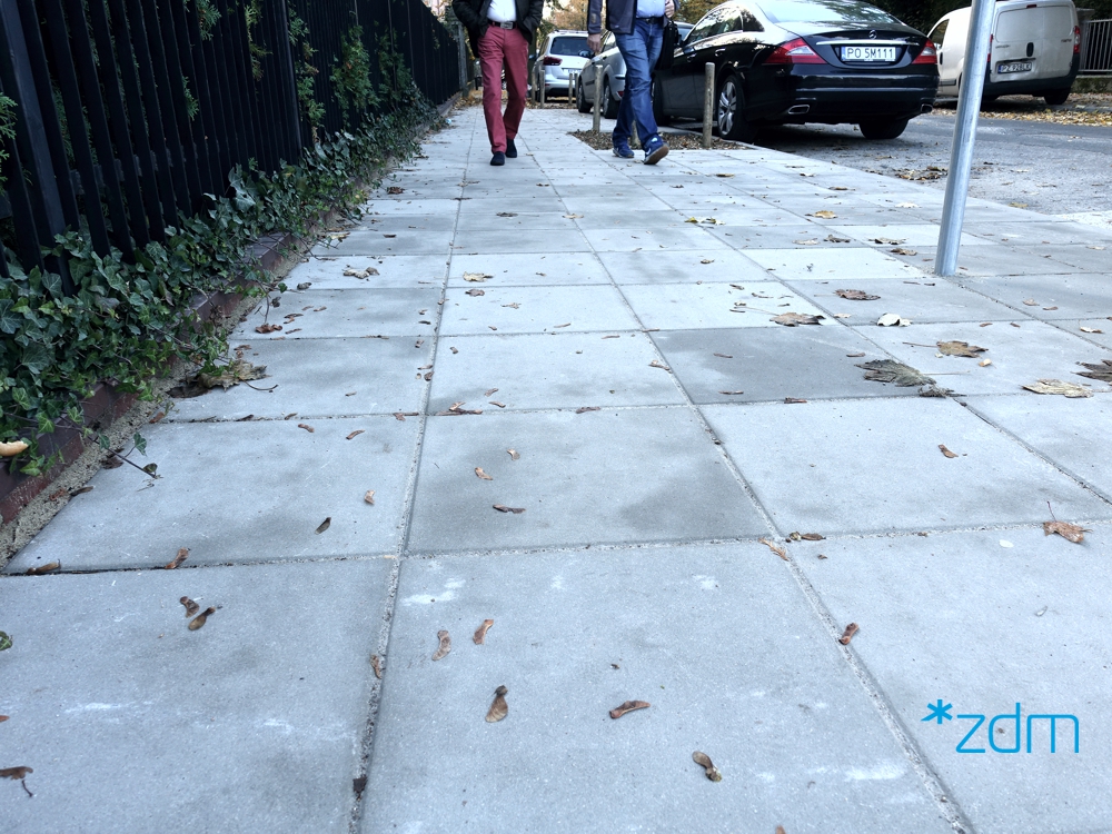 fot. ZDM - grafika artykułu