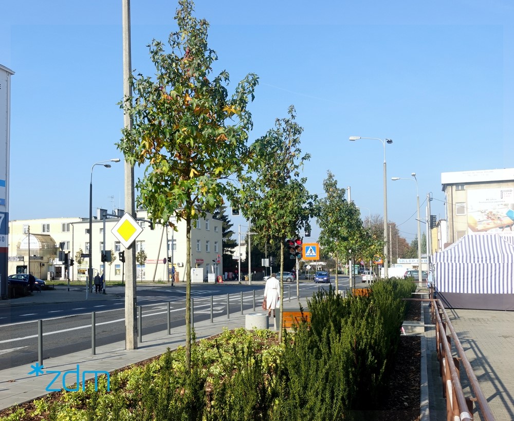 Fot. ZDM Poznań - grafika artykułu