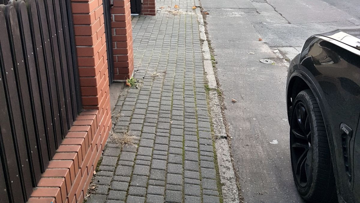 fot. ZDM - grafika artykułu