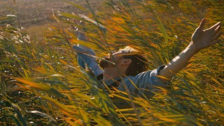 fot. Projekcja filmu "Van Gogh: U bram wieczności" w sobote i niedzielę w poznańskich kinach, fot. materiały dystrybutorów