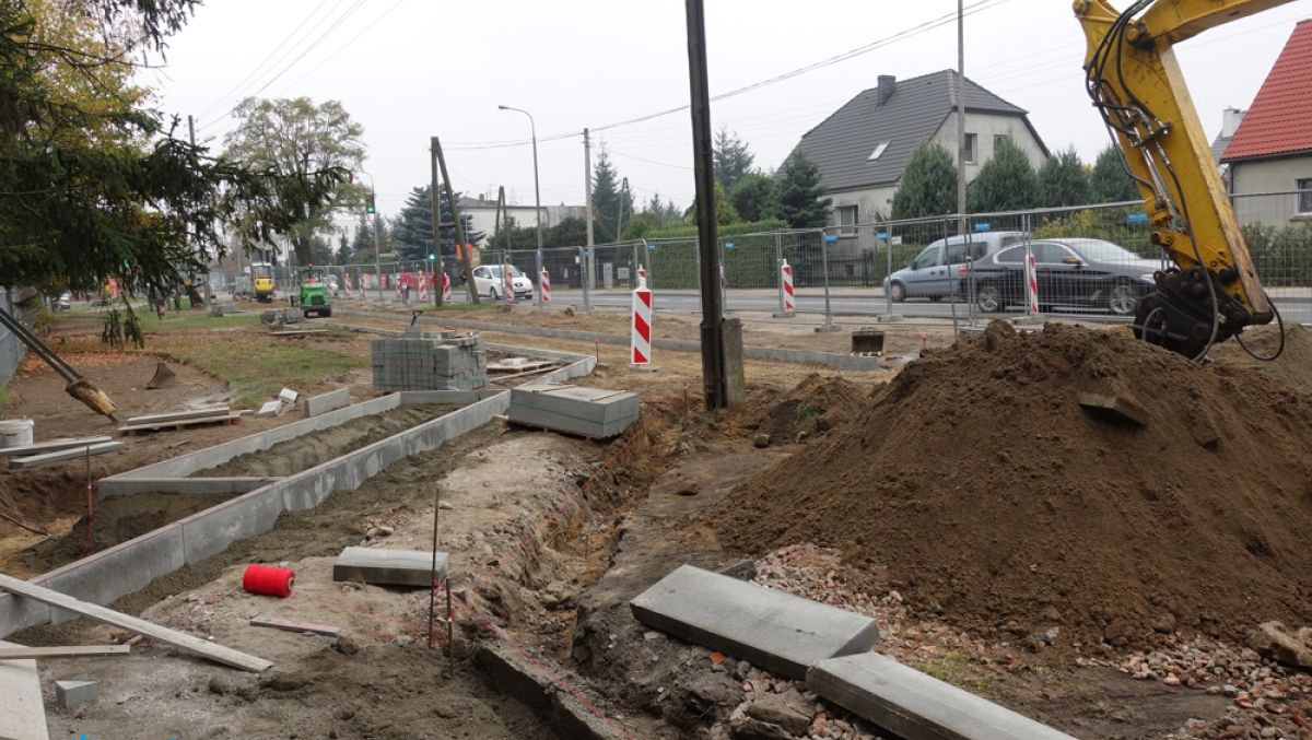 fot. ZDM - grafika artykułu