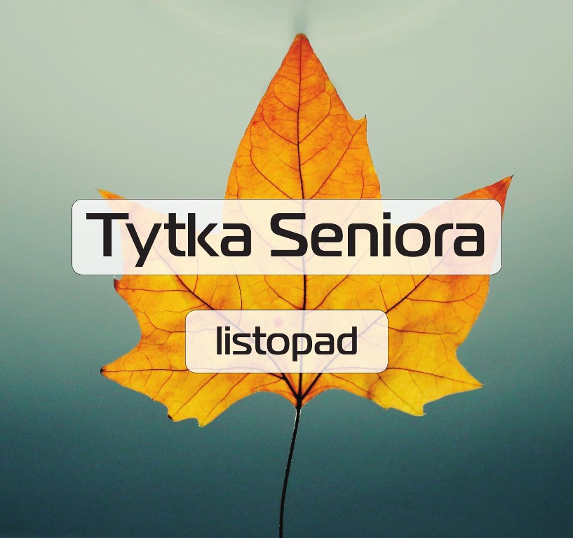 fot. CIS - grafika artykułu