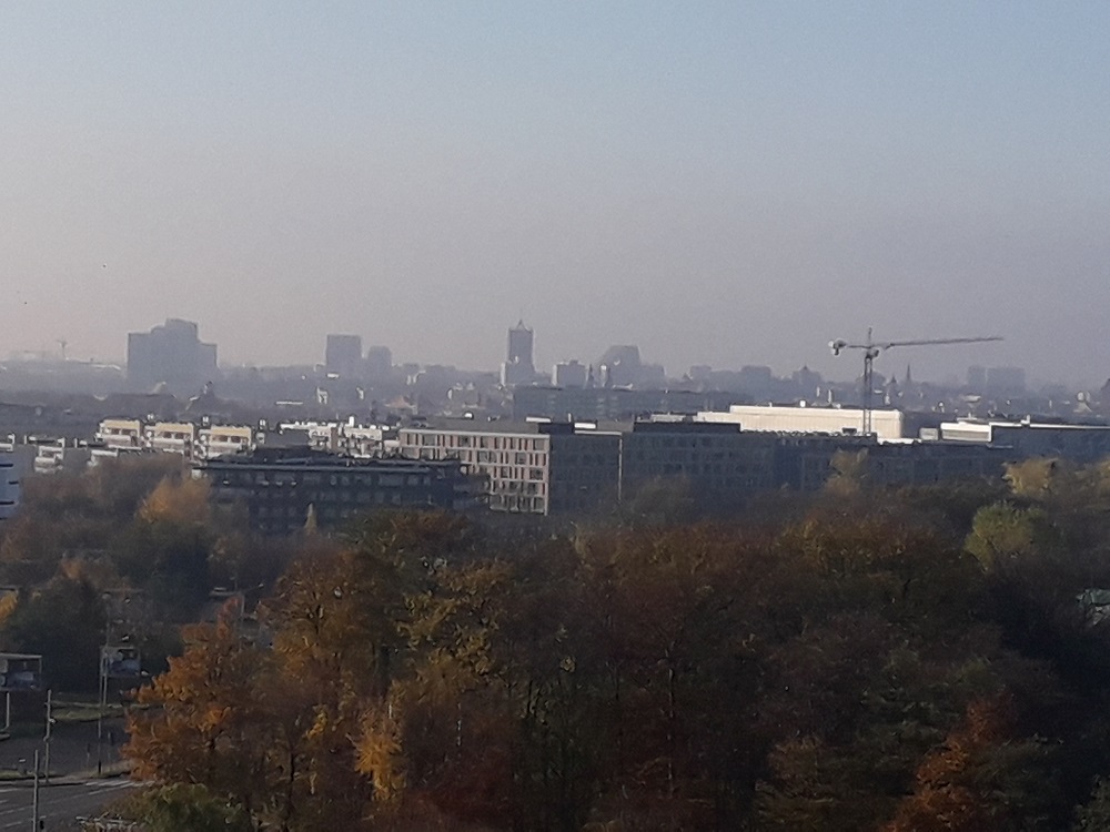 Fot. M. Malinowski - grafika artykułu