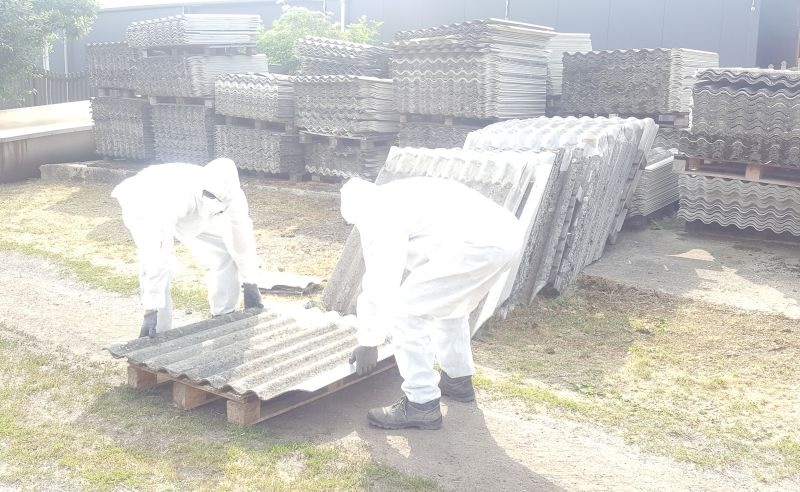 Fot. Powiat Poznański - grafika artykułu