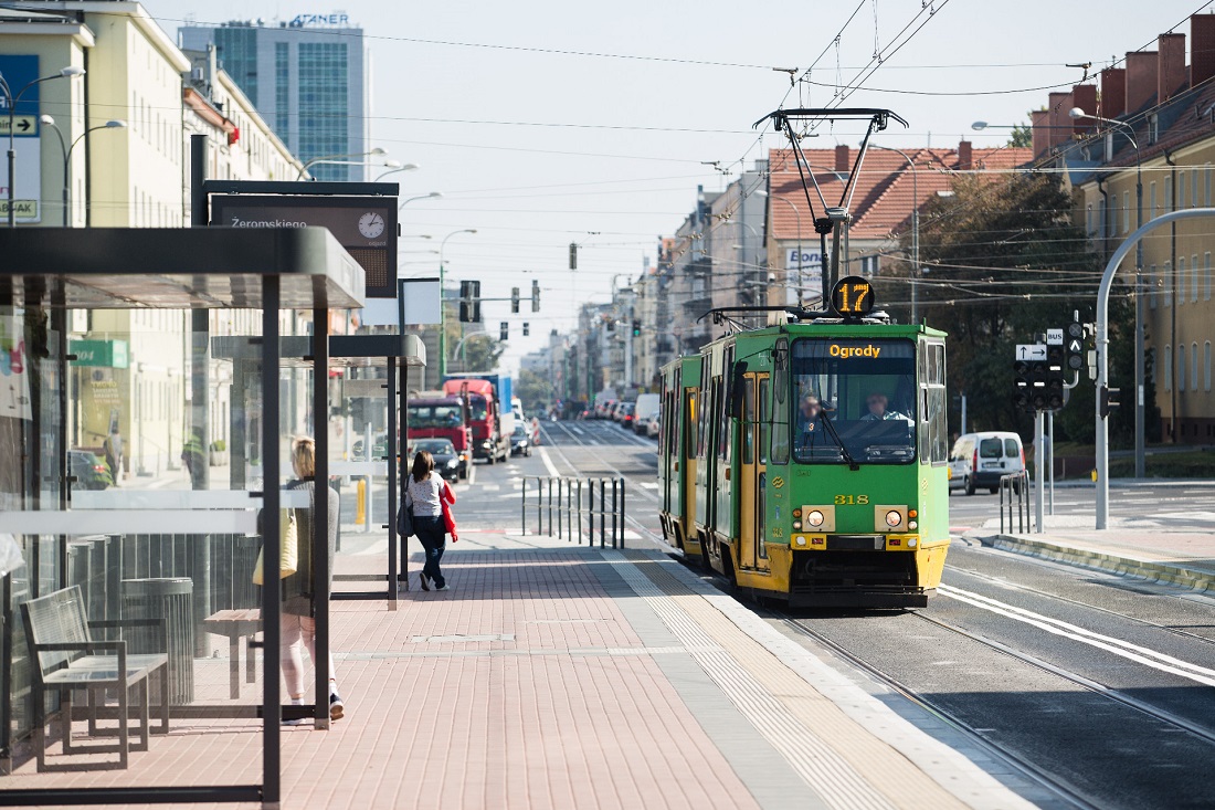 Fot. ZTM Poznań - grafika artykułu