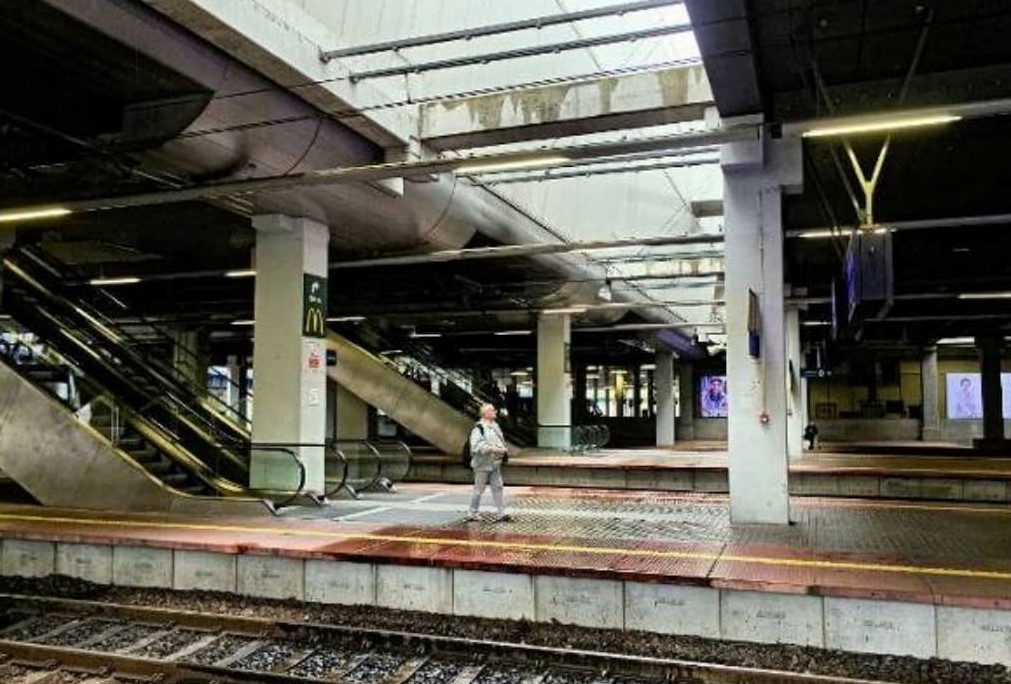 Fot. Paweł Sowa - grafika artykułu