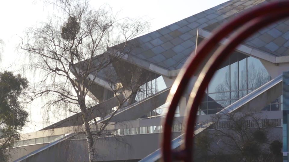 Fot. Arena Poznań - grafika artykułu