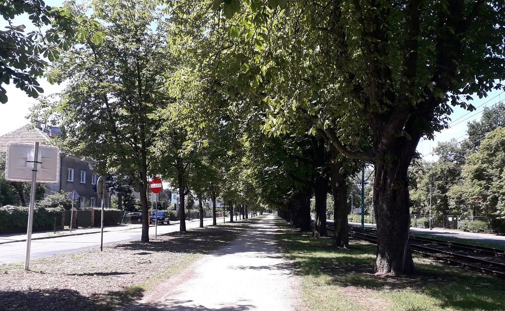 Fot. biuletyn.poznan.pl - grafika artykułu