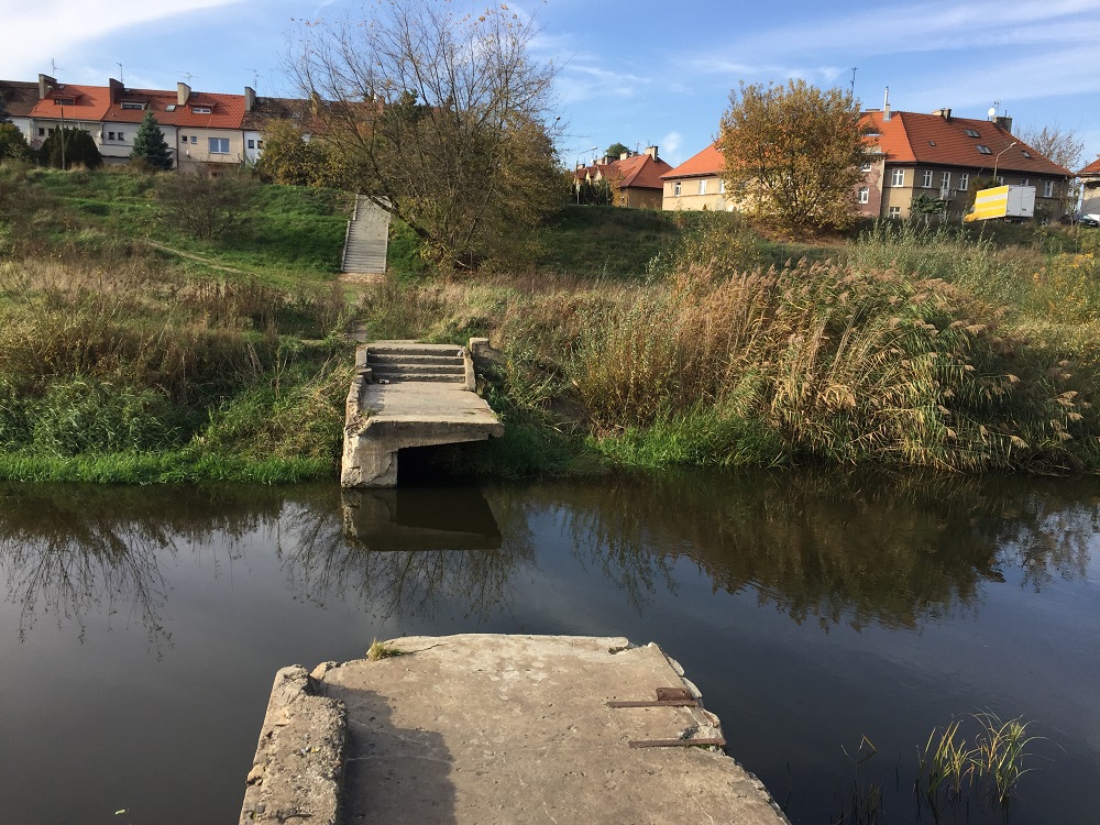 Fot. Andrzej Rataj - grafika artykułu