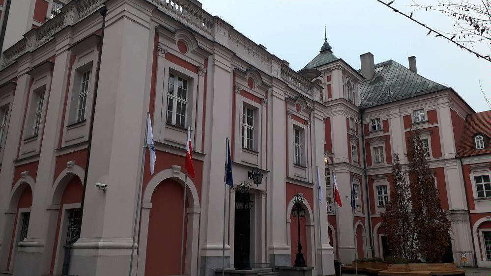 Fot. biuletyn.poznan.pl - grafika artykułu