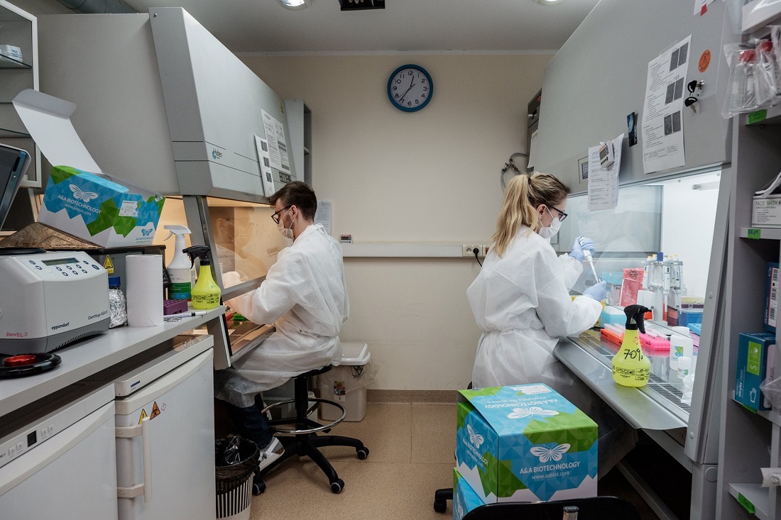 Fot. PAN - grafika artykułu