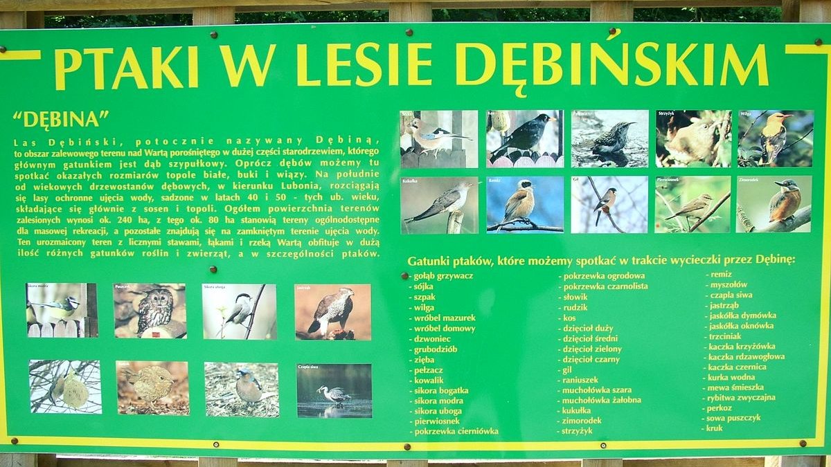 Użytek Ekologiczny Dębina I, fot. NFOŚiGW