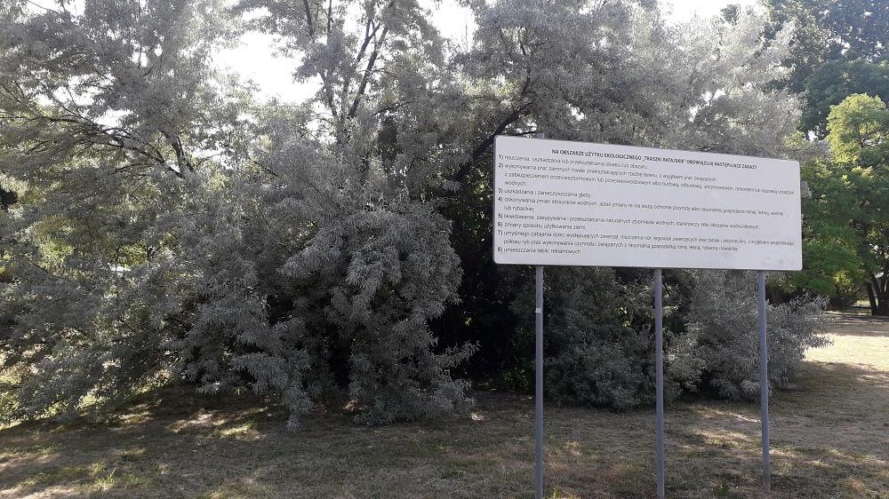 Fot. biuletyn.poznan.pl - grafika artykułu