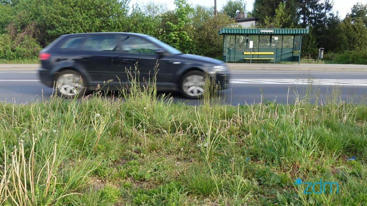 Koszenie traw w mieście, fot. ZDM - grafika artykułu