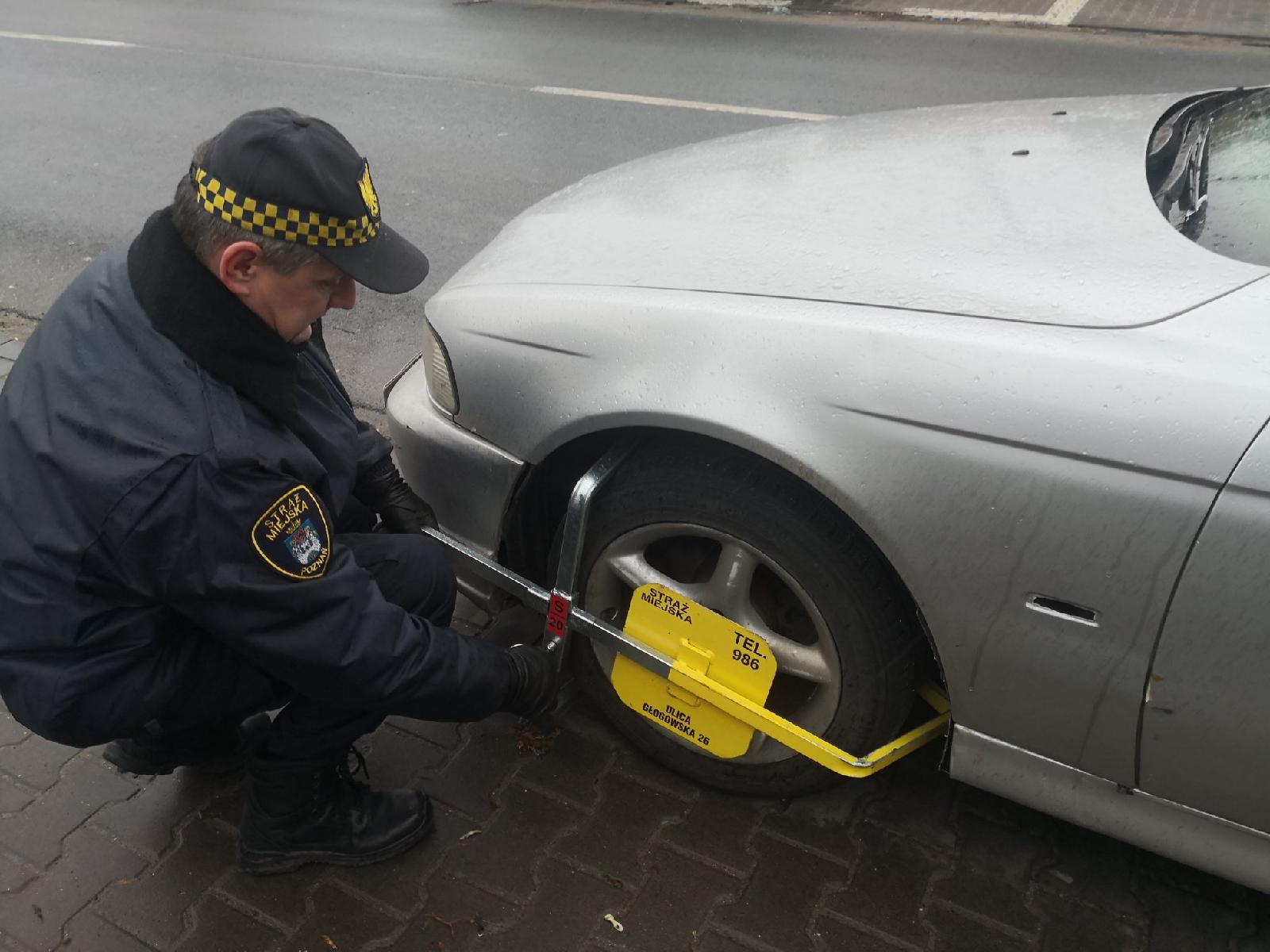 Fot. archiwum SMMP - grafika artykułu