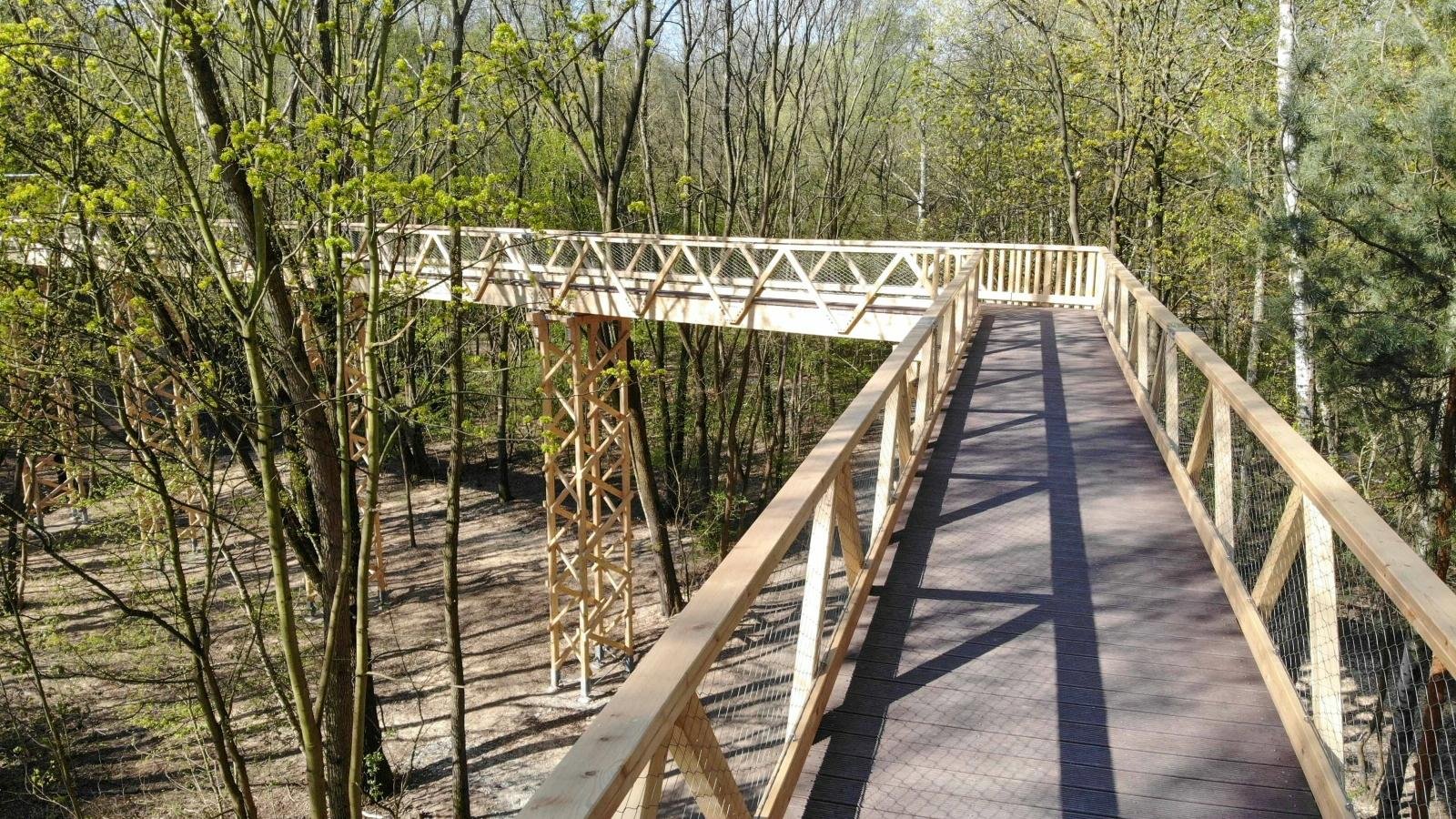 Ścieżka w koronach drzew, fot. UMP