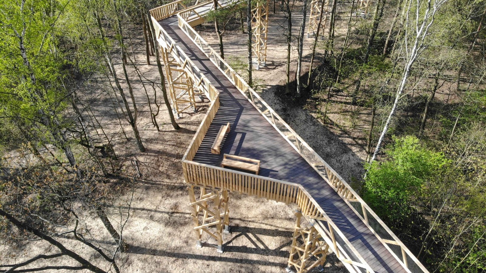 Ścieżka w koronach drzew, fot. UMP